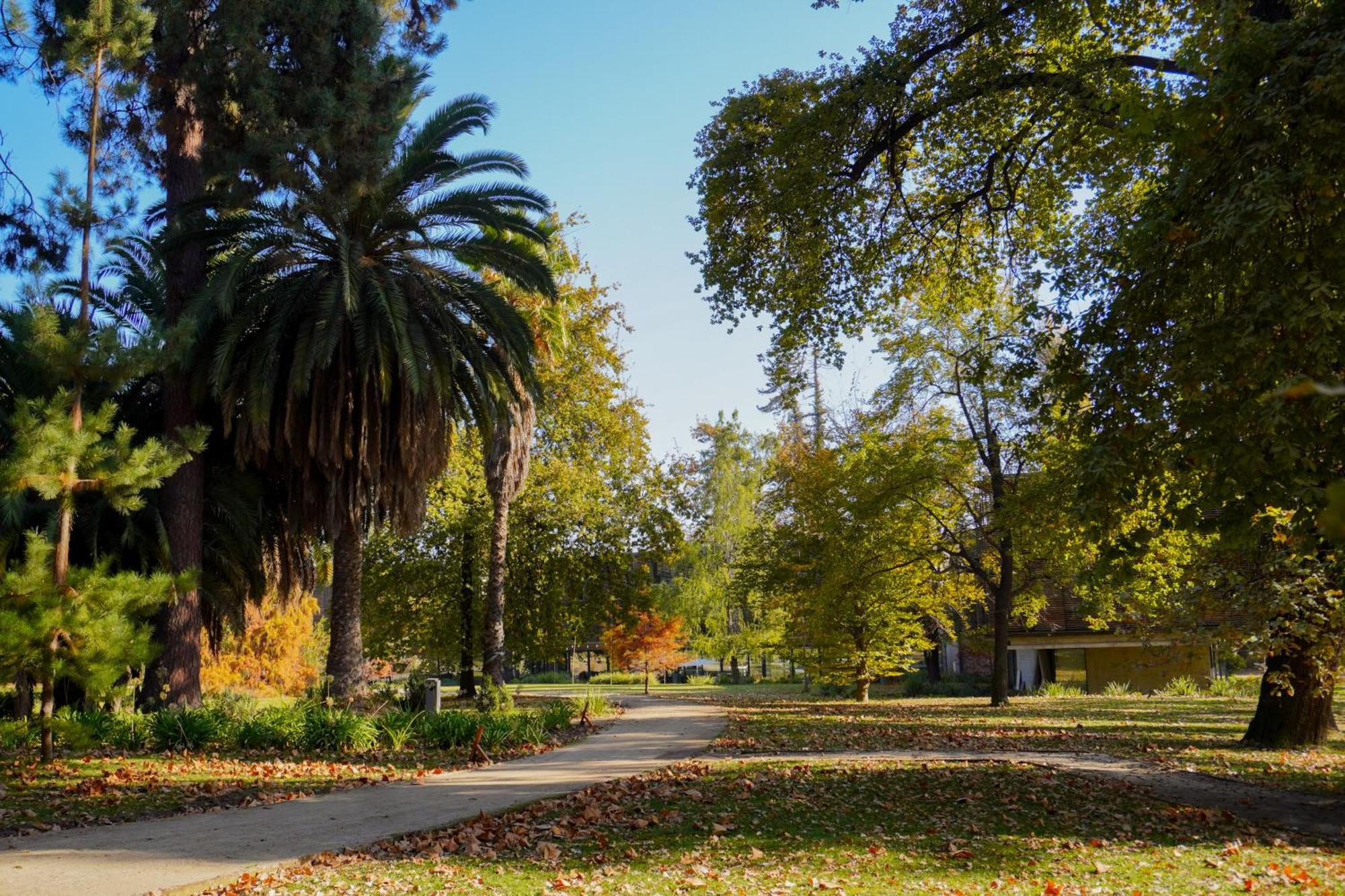 Las Majadas Hotel & Centro De Reuniones Pirque Dış mekan fotoğraf